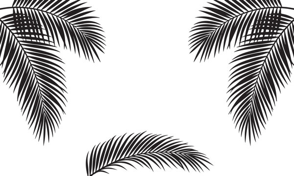 Tropical palm leaves corner arrangement elegant botanical vector design illustration