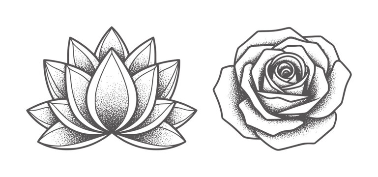 Black and white stippled lotus flower and rose