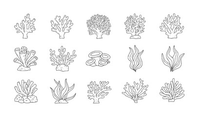 Hand drawn collection of various coral and seaweed ocean underwater marine © Mohammad