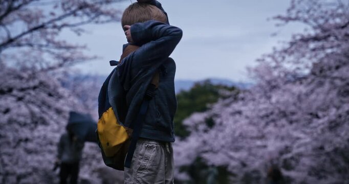 Shy, happy boy with backpack standing among spring cherry blossom trees in Japan - low, medium shot