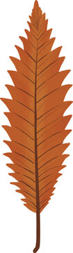 Slim Orange Leaf Illustration with Sharp Edges