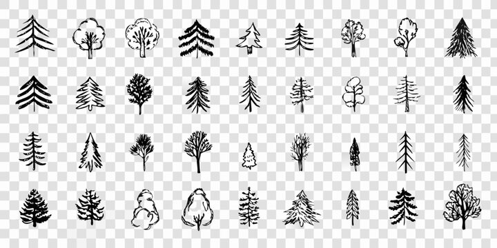 Collection Of Hand Drawn Tree Icons On Transparent Background
