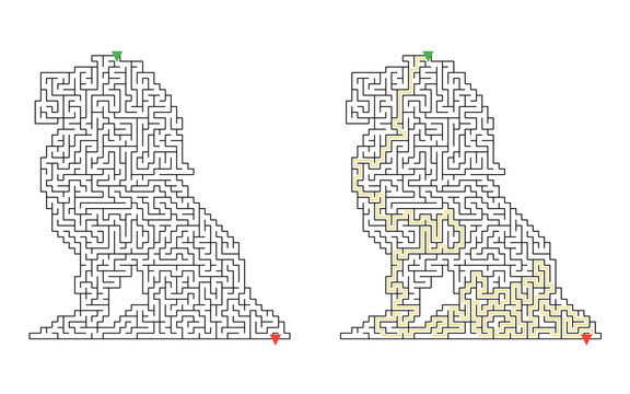 Lion shaped maze puzzle with solution path shown beside unsolved labyrinth, educational brain teaser and logic game isolated on light background