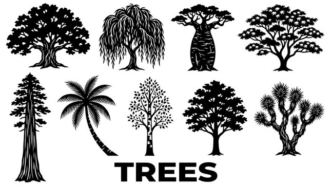 Vector set of diverse tree silhouettes including oak, palm, weeping willow, baobab, and sequoia for nature and environmental design