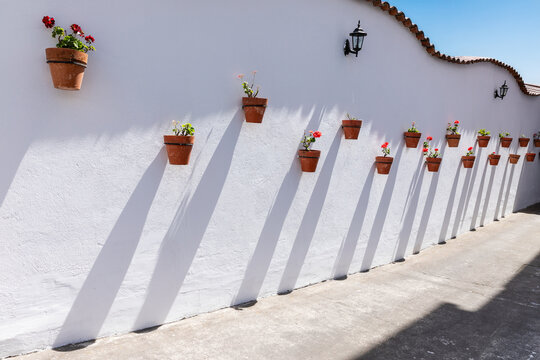 Minimalist white wall with terracotta flower pots and strong diagonal shadows. Traditional Mediterranean style stucco wall with red geranium flowers in clay pots under bright sunlight.