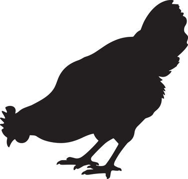 Black Silhouette of a Chicken
