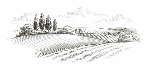 Rolling hills landscape detailed pen and ink sketch on white background © MituRani