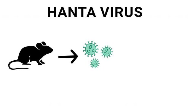 Hantavirus warning alert flat animation with biohazard symbol for whiteboard explainer video