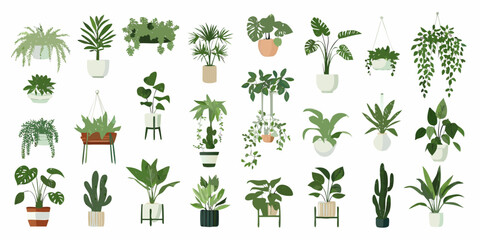 Assorted Houseplants Collection Flat Vector Illustration On White Background © Mityunjoy