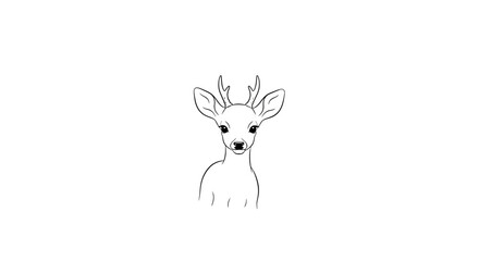 Fototapeta premium A black and white line art sketch depicts a baby deer with small antlers on a white background.