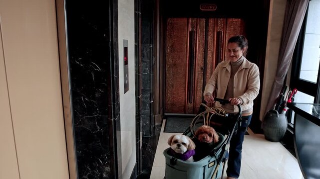 Woman with dogs in a stroller calling the elevator in a residential building