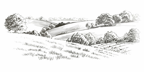 Obraz premium Rolling hills landscape detailed pen and ink sketch style illustration