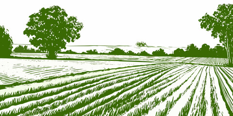 Plowed Field Landscape Illustration Green Tones On White Background © Sanjoy