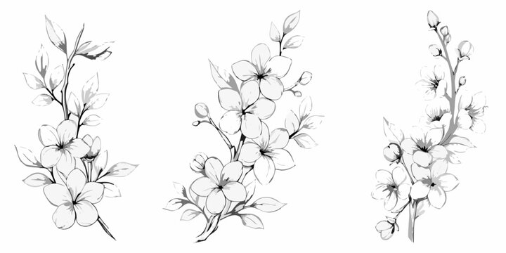 Floral arrangements in watercolor style delicate botanical illustration on white background