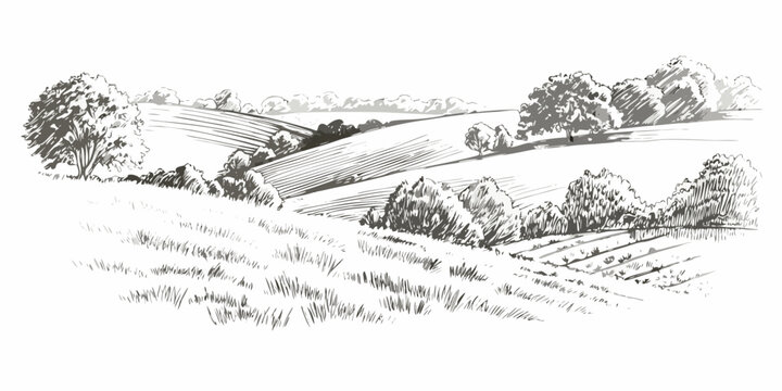 Rolling hills landscape detailed pen and ink sketch style illustration