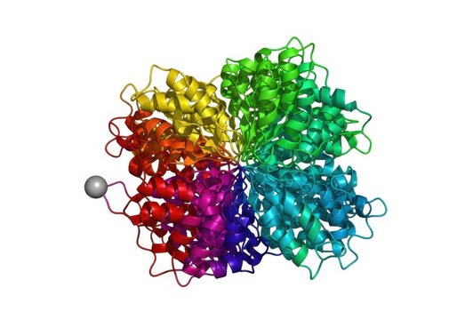 Molecular structure of a protein complex