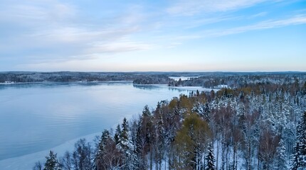 Obraz premium Frozen lake surrounded by snow-covered pine forest in a wide aerial vista under a pale blue winter sky, providing a tranquil and cold atmosphere for nature backgrounds and travel posters.