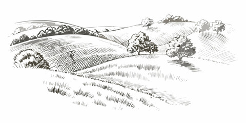 Obraz premium Rolling hills landscape pen and ink sketch with detailed foliage