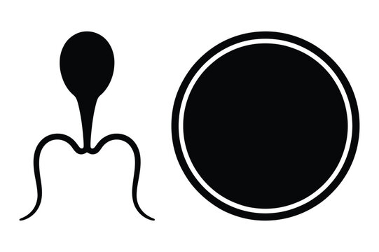 Human sperm cell and round egg cell silhouette vector graphic icon set with fertility