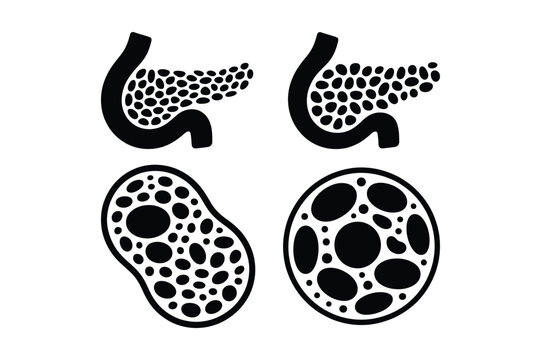 Pancreatic islet cell anatomy and islet architecture medical illustration