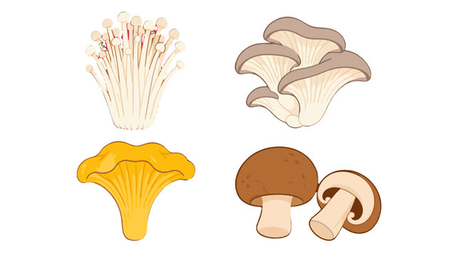 Cartoon edible mushroom set with enoki oyster chanterelle and cremini
