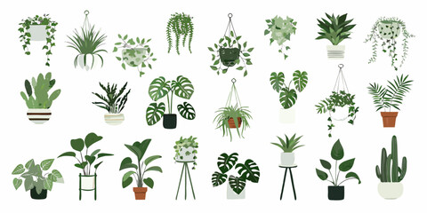 Variety Of Houseplants In Pots Vector Illustration © Roni