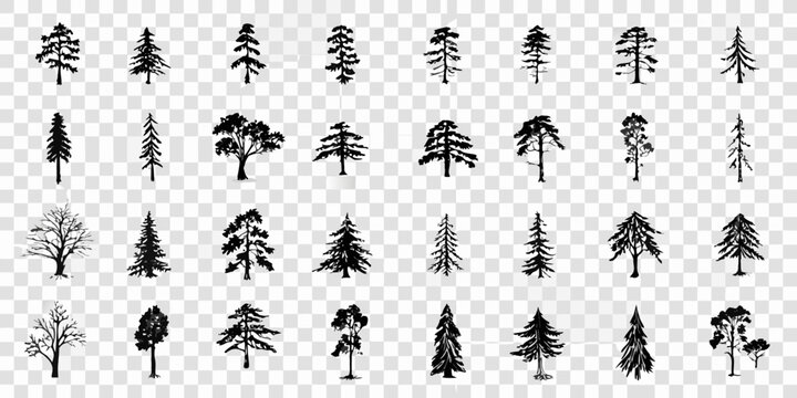Collection Of Black Tree Icons On Transparent Background