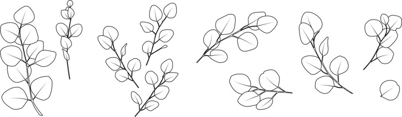 Delicate silver dollar eucalyptus line art vector set. Elegant minimalist botanical elements for wedding design, fine art logo and cosmetic packaging. © Светлана Кушнир