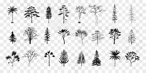 Collection Of Black Silhouette Tree Icons On Transparent Background © SreemotiRaba