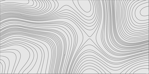 Abstract vector illustration of wavy topographic lines on white background for design texture © Lily