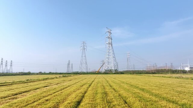 golden wheat field with high voltage transmission towers under blue sky