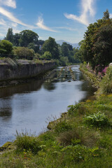 Fototapeta premium river dargle in bray, county wicklow, Ireland