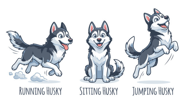 Three Husky Dogs in Different Poses.