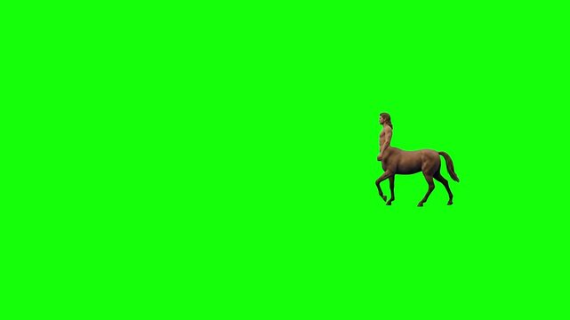 A detailed 3D animation featuring a classical mythological centaur walking across a solid green background. Perfect for fantasy movie productions, historical storytelling projects, and creative game d