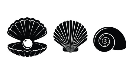 Black and white illustration of three different types of seashells with a pearl © Saima