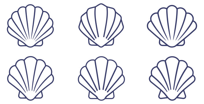 Set of seashell line icons isolated on transparent background