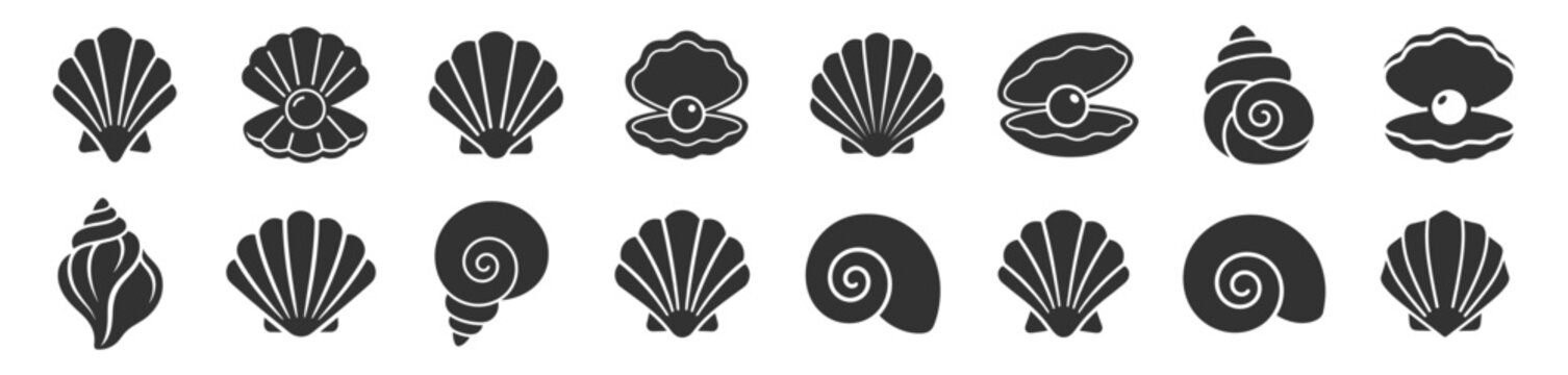 sea shells and conch shell icons collection set vector illustration on transparent background