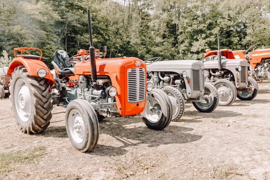 Alte Massey Ferguson Traktoren  auf einer Ausstellung in Schuld, Deutschland, 23.05.2026