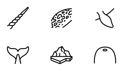 Arctic Ocean Icons: Narwhal Tusk, Iceberg, Whale Tail, Seal, Marine Life Textures © Shihab