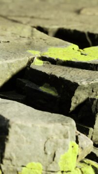 A colorful yellow mark can be seen on a rough stone surface. The paint stands out against the gray rocks, showing signs of wear from exposure to the elements in a natural area.