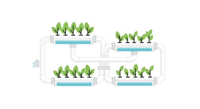 Hydroponic System Growing Plants Without Soil - Futuristic Agriculture