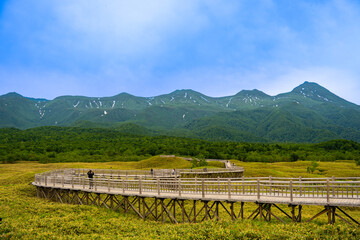 Naklejka premium 日本の北海道知床にある高架木道