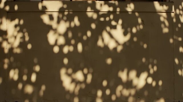 Tree leaves shadow moving on the wall