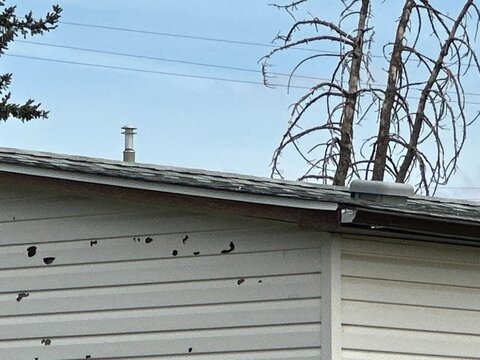 Hail Damaged House Siding Showing Impact Marks and Dents
