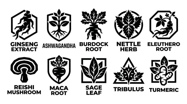 Adaptogen Herbs and Healing Roots Geometric Logo Collection