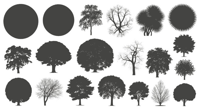 Collection of dark grey tree silhouettes and two solid circles on white background