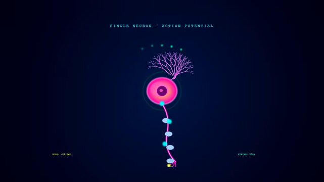 A BCI neural connection animated graphic displays digital neuron firing sequences across three sequential stages of bioelectric pulse transmission with data readouts on dark blue