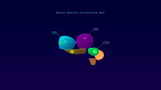A BCI neural connection visualization showing shifting light patterns across stylized brain region segments in a repeating three part digital sequence for medical research and analysis