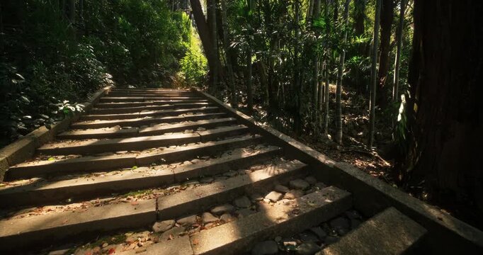Stone steps leading up forest and bamboo grove near old Japanese village - steady cam