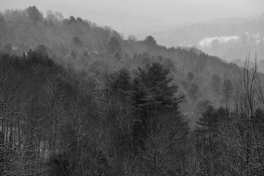 Layers of a winter landscape as snow falls over the tree-covered mountains.